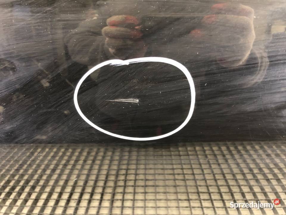 DRZWI PRAWY PRZÓD HYUNDAI TRAJET Van minibus podkarpackie