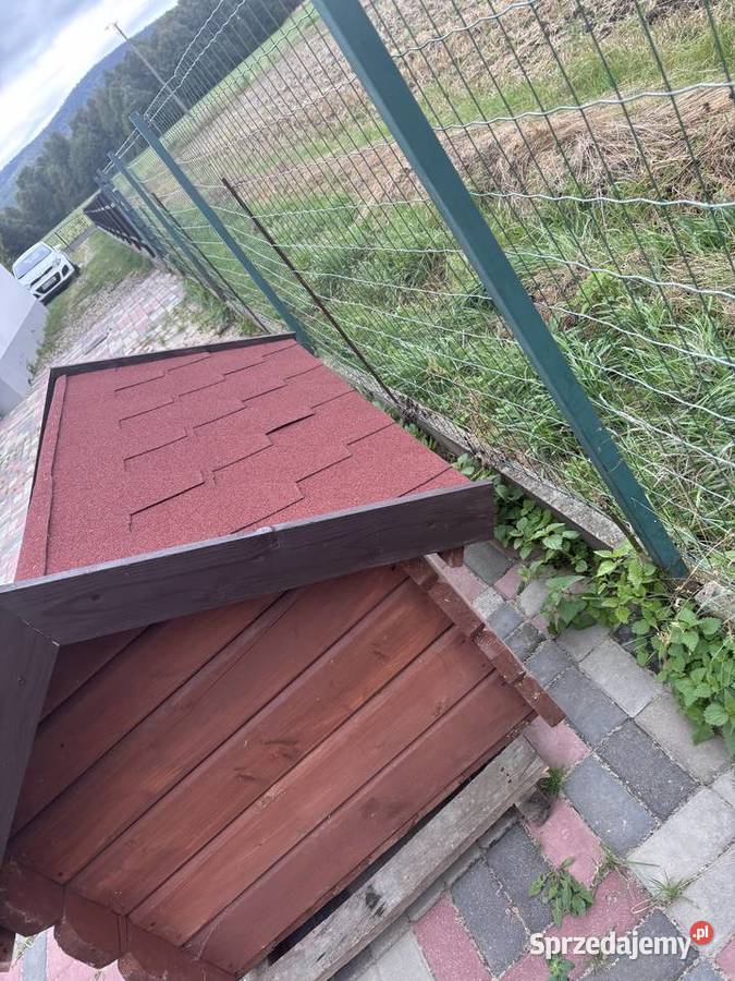 Buda psa Święta Katarzyna