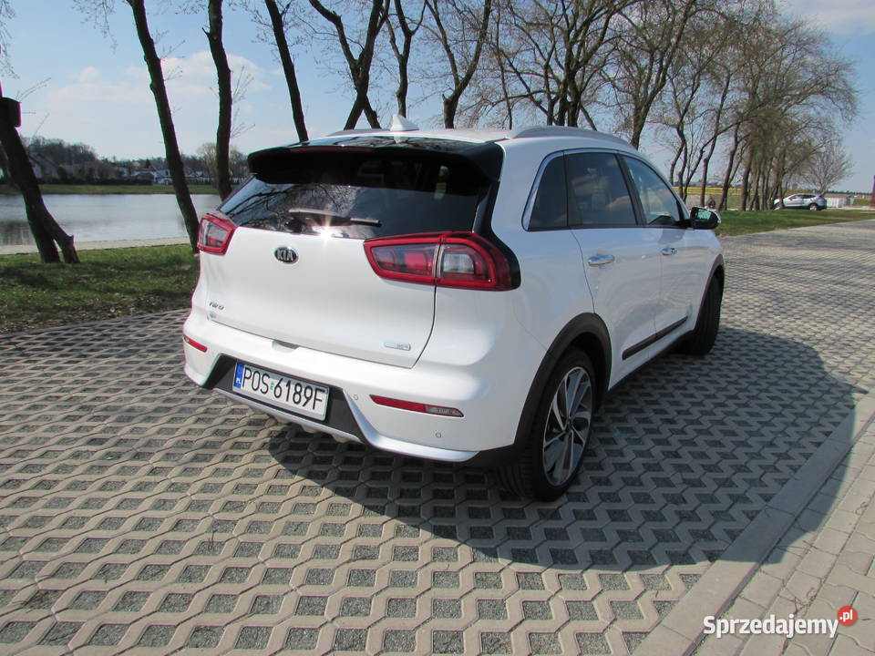 Kia Niro 16 GDi HEV XL Radar FULL LED Raszków