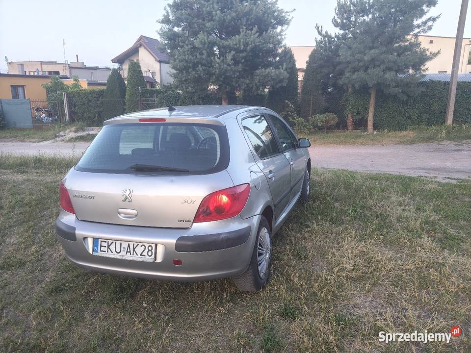 Peugeot 307 16 16 klima Kutno sprzedam