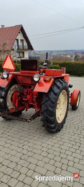 Władimirec T25 Rusek małopolskie Jabłonka