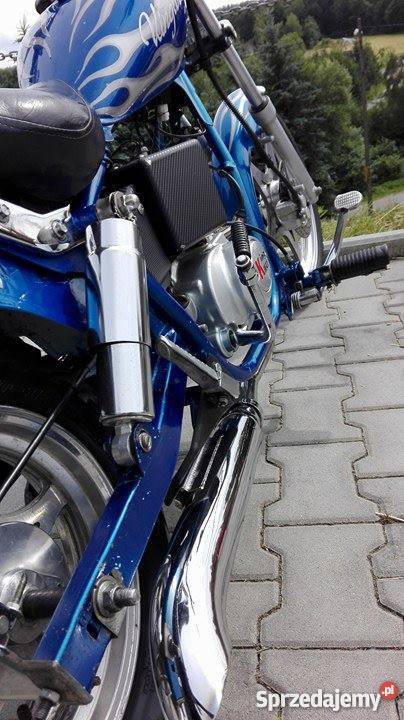 Kingway ChopperŁośXT50 7250 Głogoczów