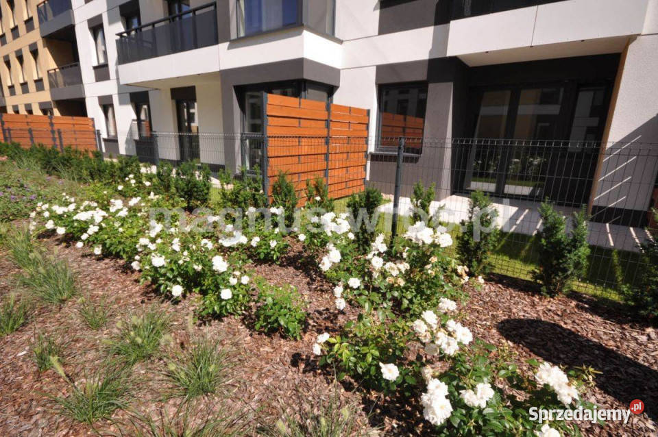 Deweloperskie 4pokojowe mieszkanie z ogrodem Wrocław