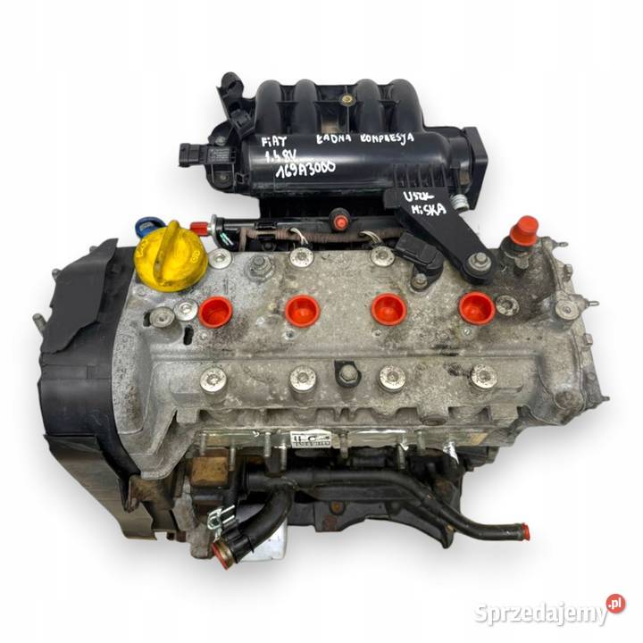 SILNIK 169A3000 Fiat 500 Panda II 14 16V 100 Chełm sprzedam