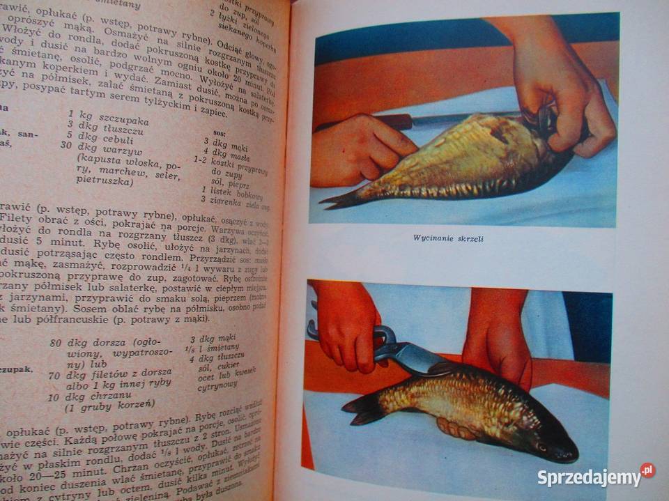 Kuchnia polska Berger kuchnia dania przepisy Łódź