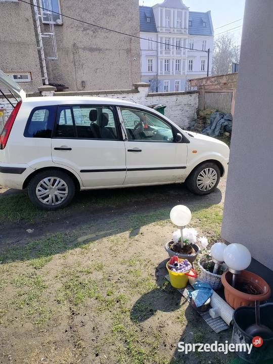 Ford Fusion 14 TDCI Prudnik