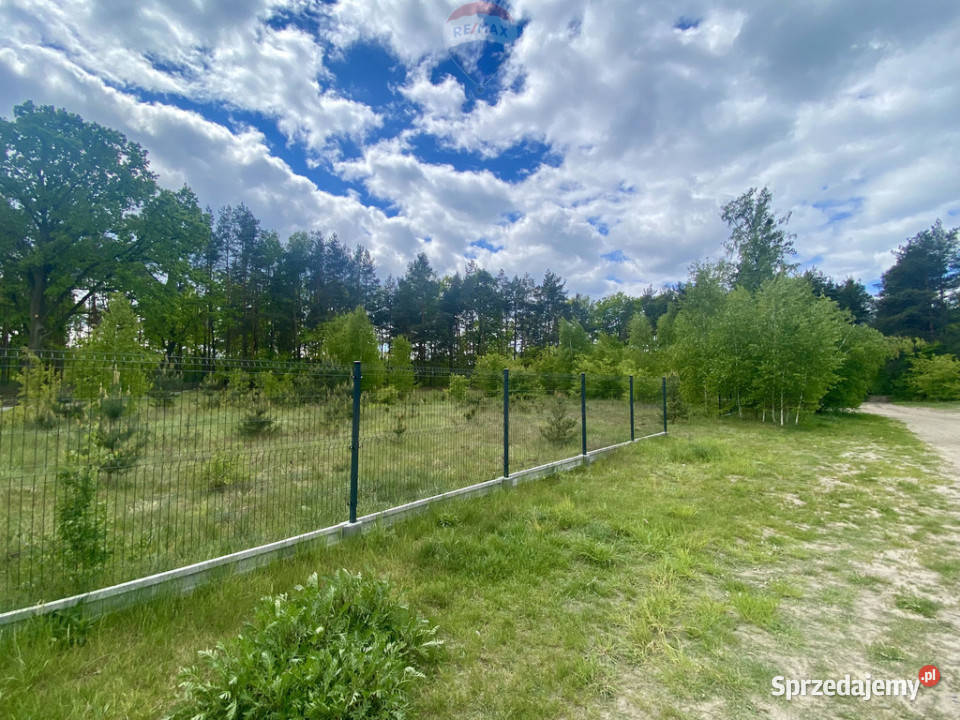 Duża piekna działka Puszczy Słupeckiej Sieraków