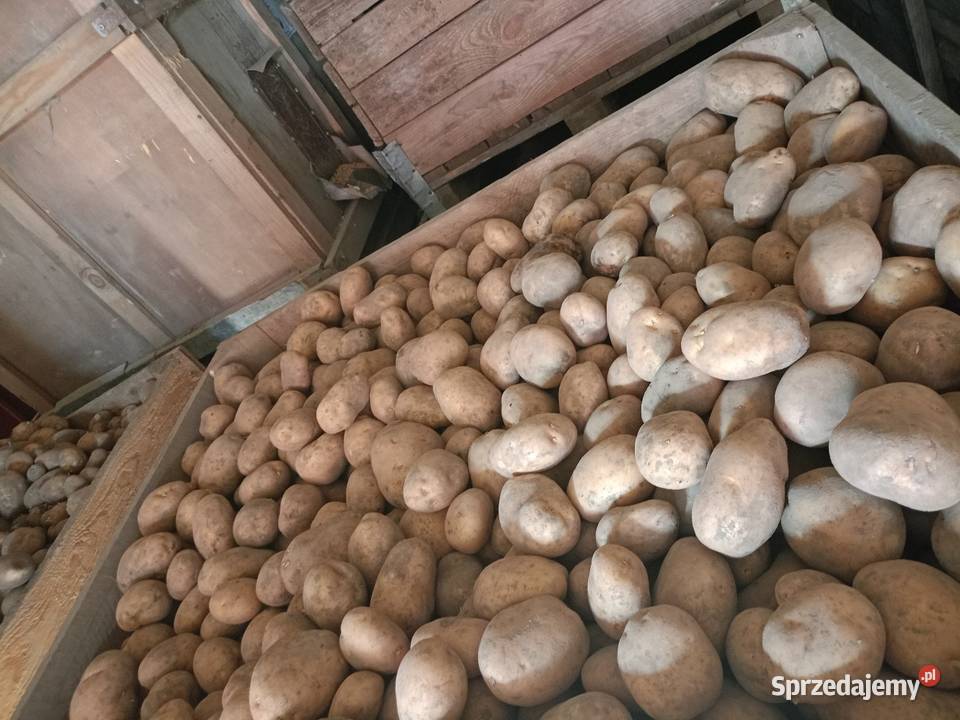 Ziemniaki Jurek Warzywa Pełczyska