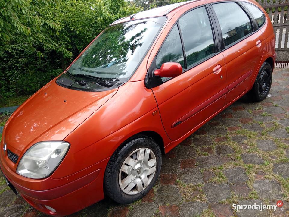 Scenik 2003r 145000 16 benzyna 1 właściciel wspomaganie kierownicy Scenic wielkopolskie Kalisz