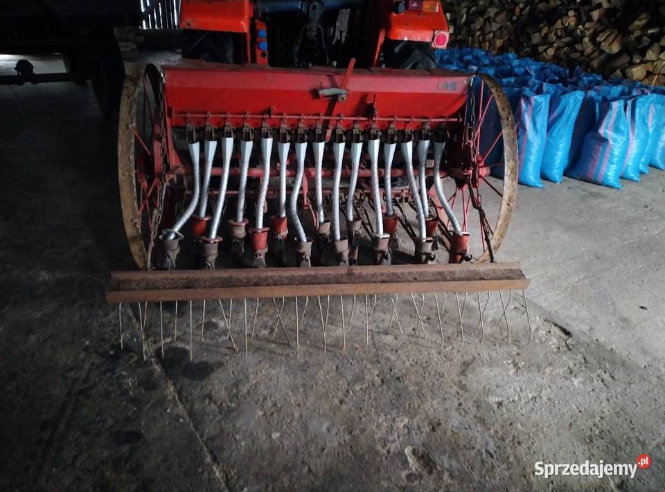 Siewnik Kaszub Sieradz