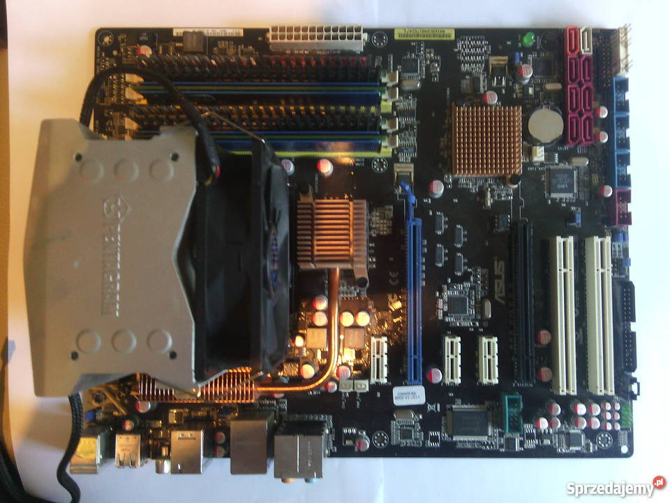fortvivlelse Labe Stolpe Asus P5Q Pro + Intel Xeon E5450 + 8gb RAM DDR2 + Chłodzenie Olsztyn -  Sprzedajemy.pl