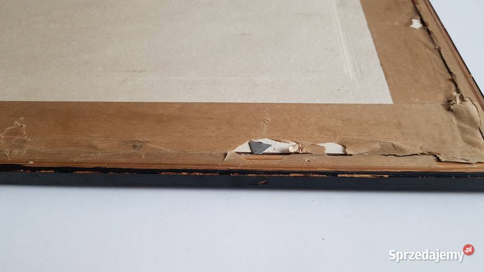 Stara grafika Mikolas Ales Trutnov Vlast Dąbrowa Górnicza