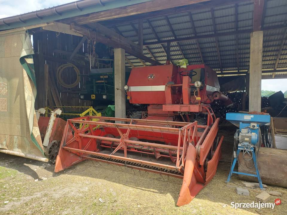 Massey ferguson 187 mf kombajn sieczkarnia bizon Tuchów