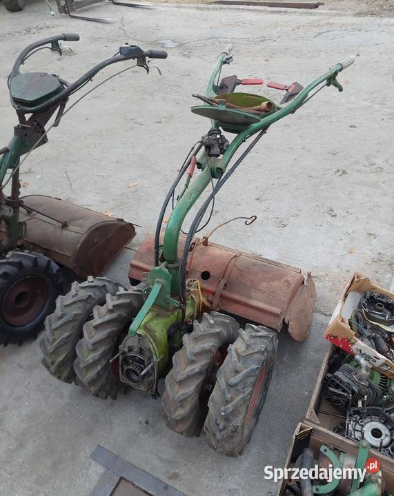 Glegogryzarki Agria pakiet 5 Grabów nad Prosną