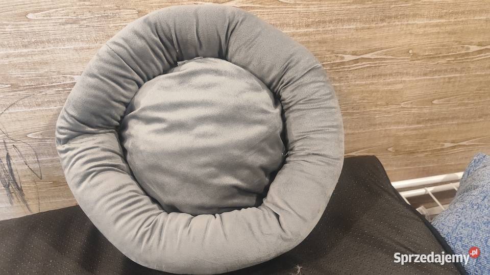 Legowisko psakota Dla psów Olsztyn