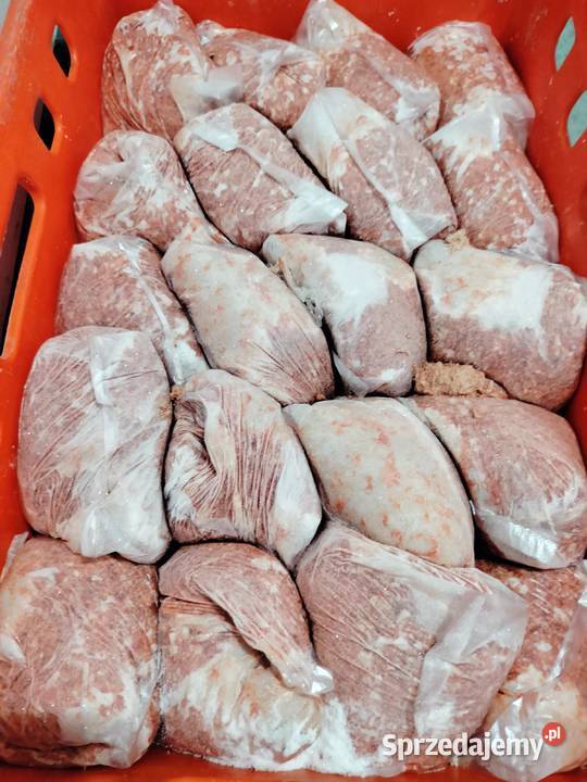 Mięso i kotów Truskolasy sprzedam