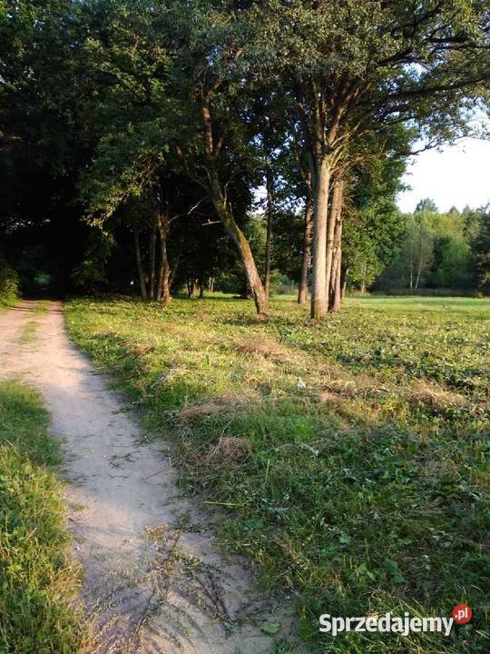 1 300 m2 warunki zabudowy Natura 2000 20 min 35m Zajma