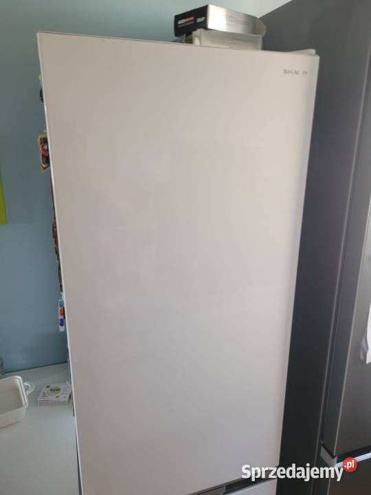 Lodówka sharp świętokrzyskie Sędziszów sprzedam