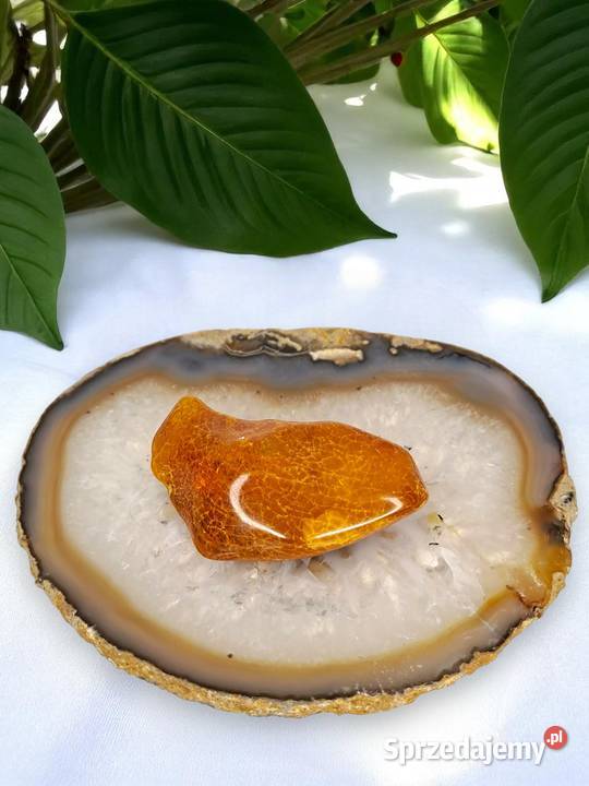 Broszka z bursztynu bursztyn bryłka 1491 Warszawa