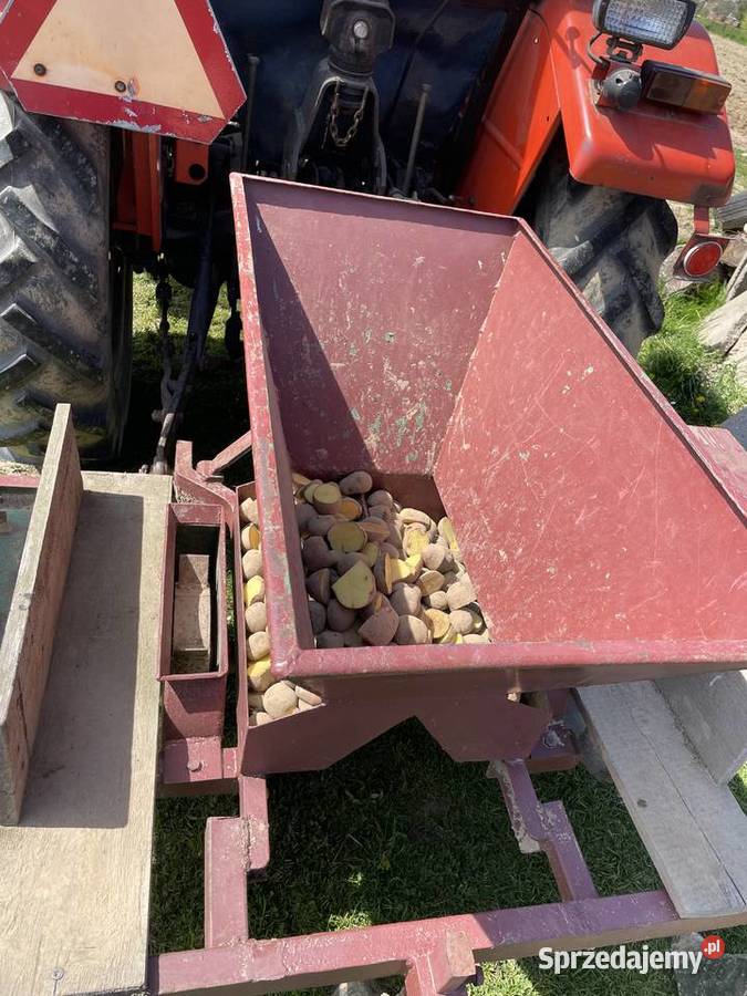 Sadzarka do ziemniaków Zalasowa