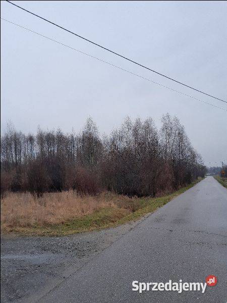 Bieganów Poziomkowa sprzedam