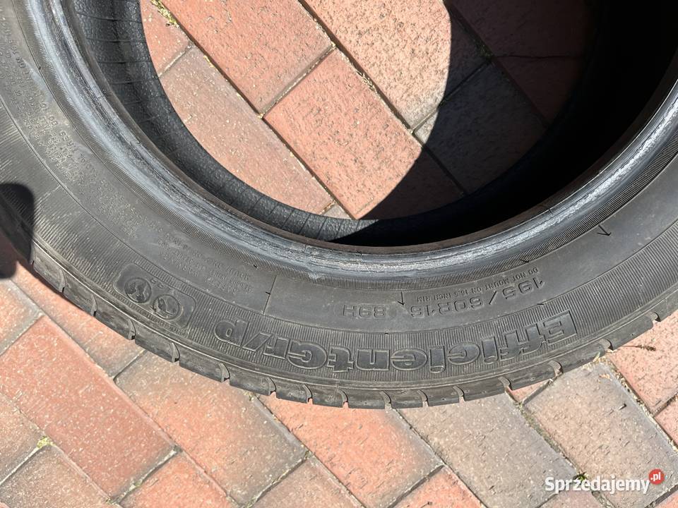 19560R15 89H Goodyear EfficientGrip lato Grzebienisko