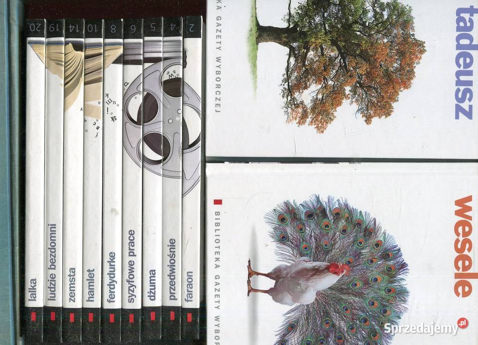 Zestaw 11 lektur na DVD WeselePoa Tadeusz Dżuma Szczecin