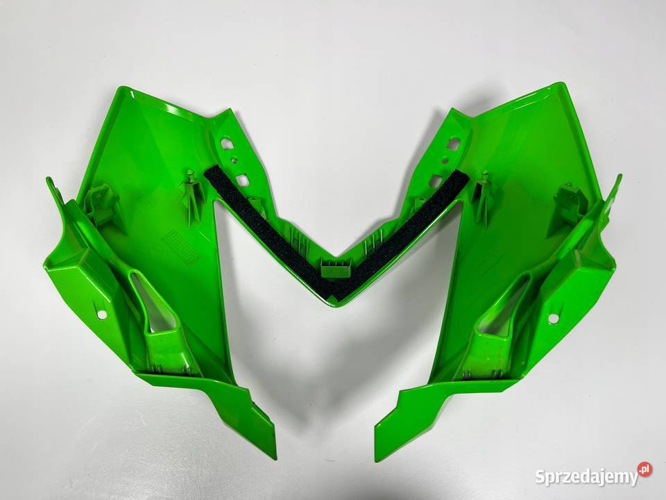 KAWASAKI Ninja 125 19 Czasza Czaszka Owiewka Łobżenica