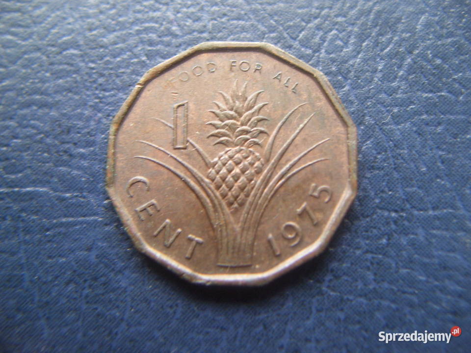 Stare monety 1 cent 1975 FAO Estwatini Lesko