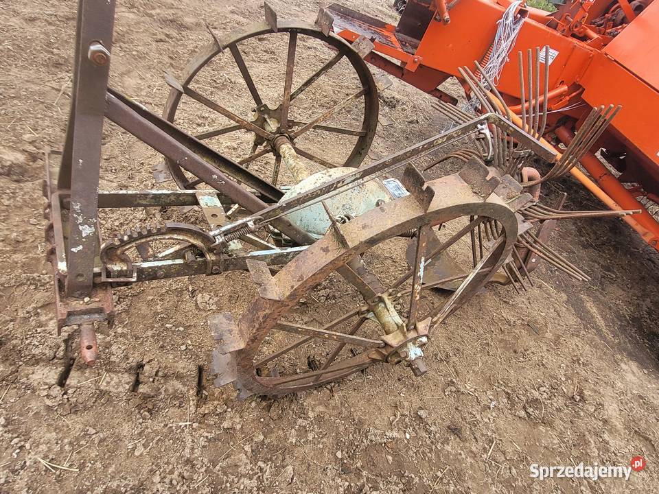 Kopaczka gwiazdowa R10 Grajewo