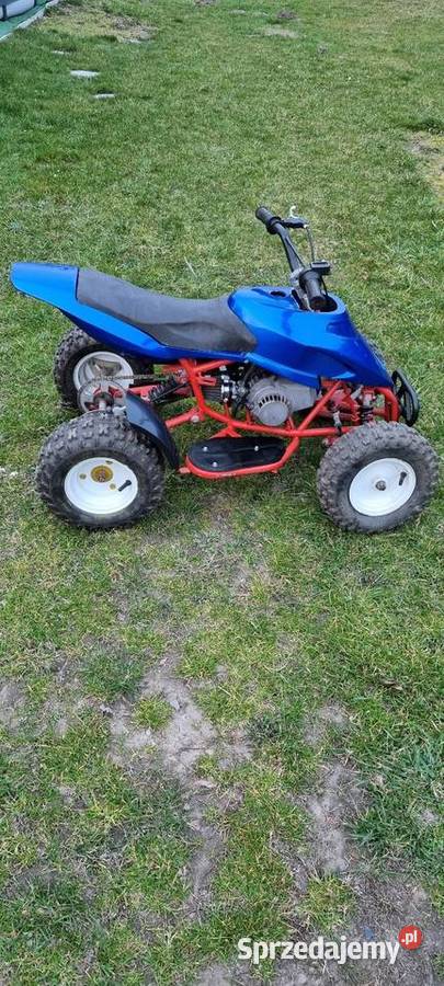 Mini Quad 50 ccm dziecka metalic Rybnik