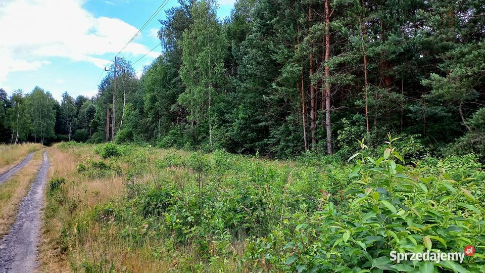Działka budowlana Tumlin Osowa 2480m2 gmina sprzedam