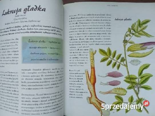 Nowe choroby stare lekarstwa Wielki leksykon sprzedam