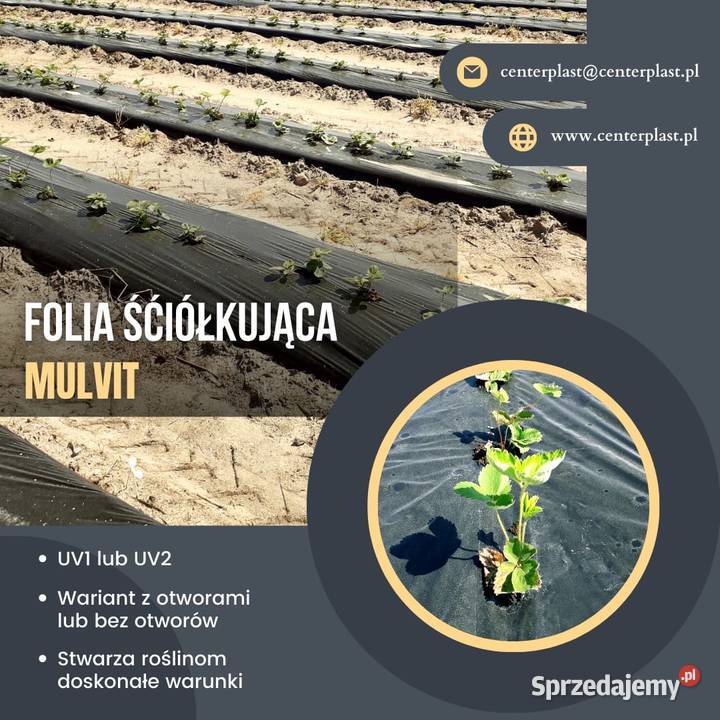 Folia ściółkująca w uprawach zagonowych MULVIT 2 opolskie Brzeziny