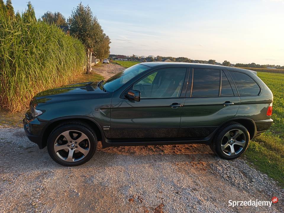 Bmw X5 e53 Piękna Lamki