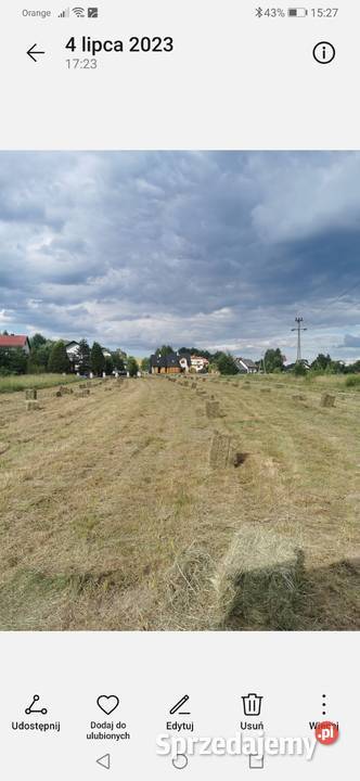 Siano tegoroczne duże kostki z sipmy z2241 Łękawica sprzedam