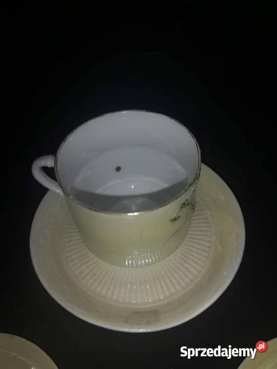 Filiżanka Opalizowane z wypukłym dekorem pomorskie Gdańsk