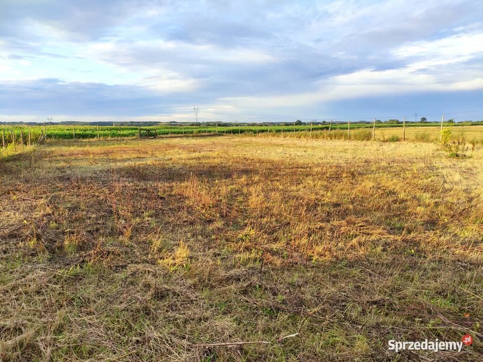 Działka budowlana 21a Gorzów Wlkp wszystkie Gorzów Wielkopolski