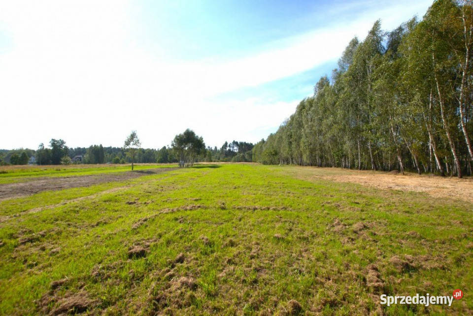 Grunt na sprzedaż Daleszyce 1251m2