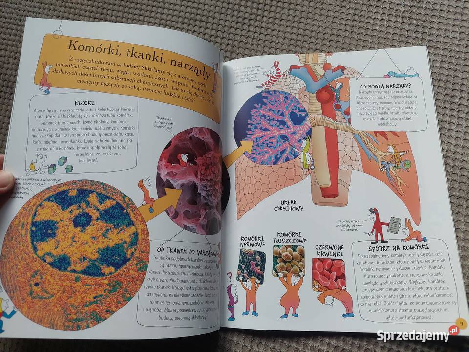 National Geographic Małe Mózgofalki poznają Książki dla dzieci Kraków