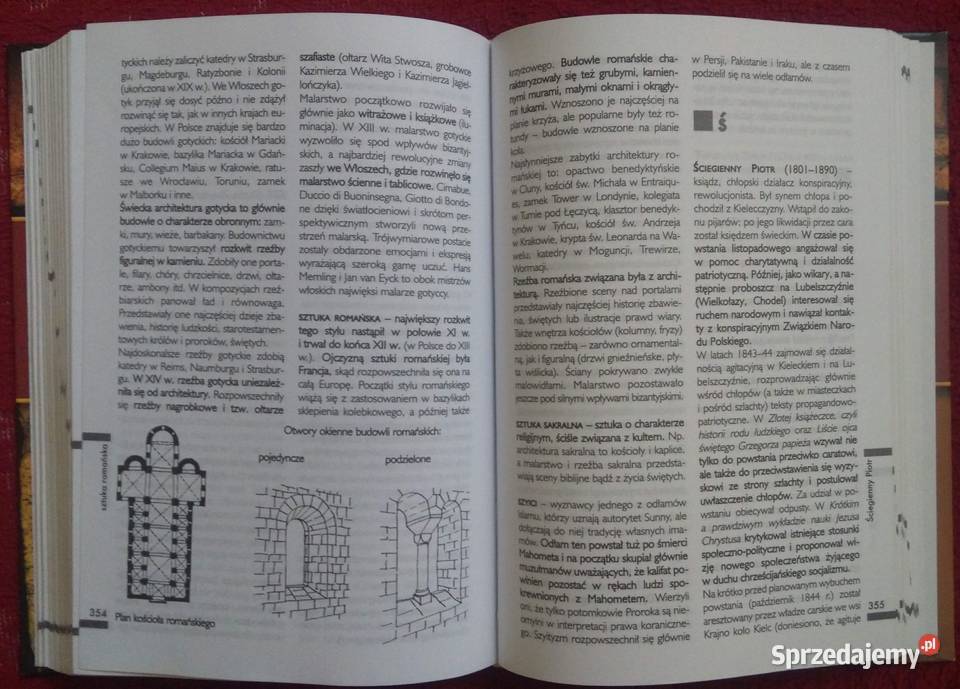 Słownik Historia Złote wydanie opolskie Paczków sprzedam