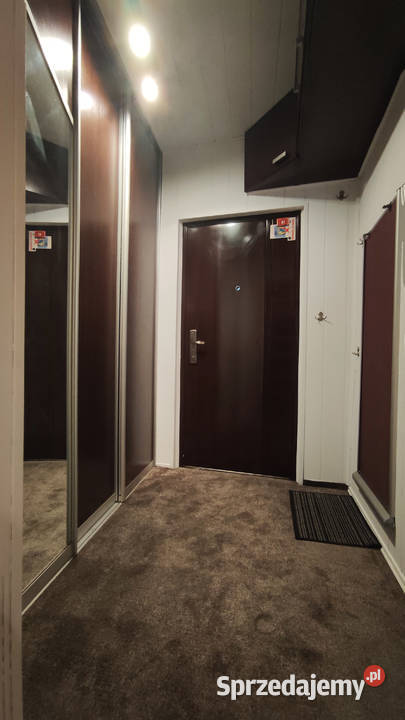 Sprzedam mieszkanie 64 m2 zamienię na małe do 35 Liczba pokoi 3 sprzedam