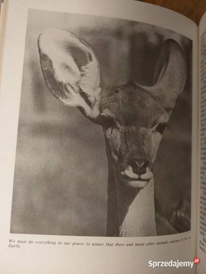 Man and Animals Dmitriyev