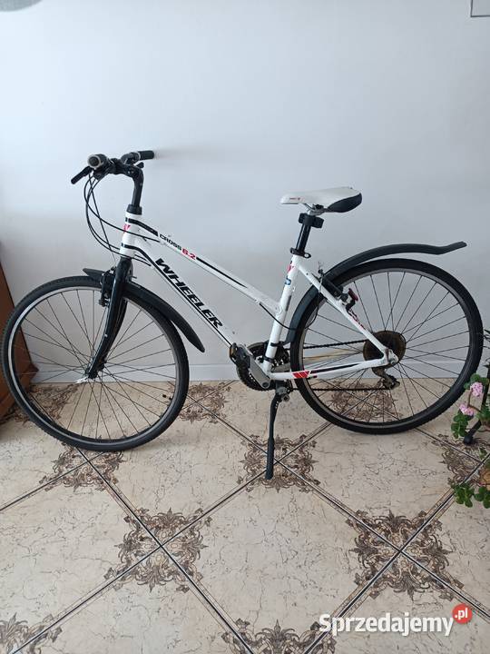 Rower WHEELER cross 62