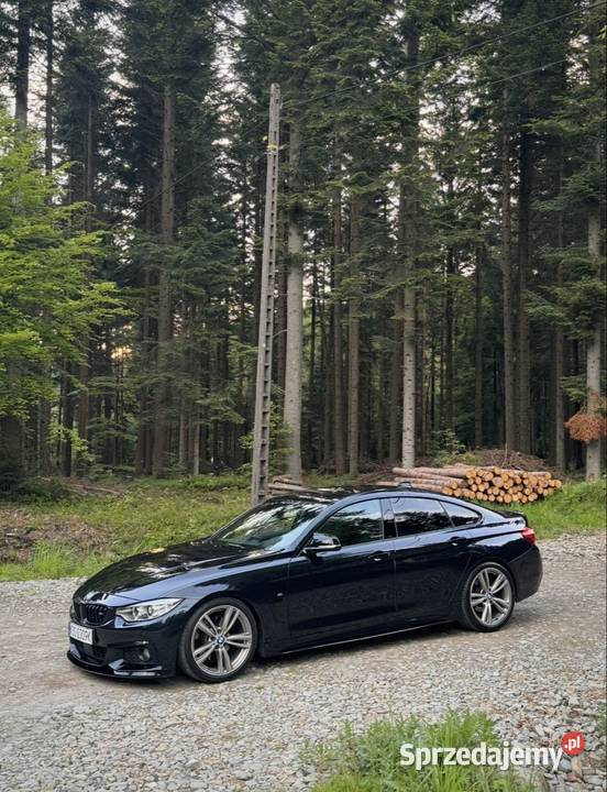 BMW 425d B47 biturbo msport nowy rozrząd ASR (kontrola trakcji) Kęty