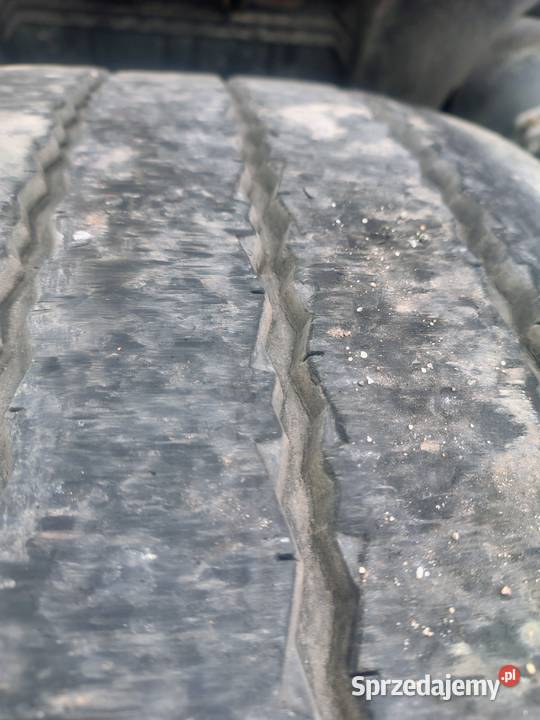 MAN TGX 26480 3 oś Brudzew