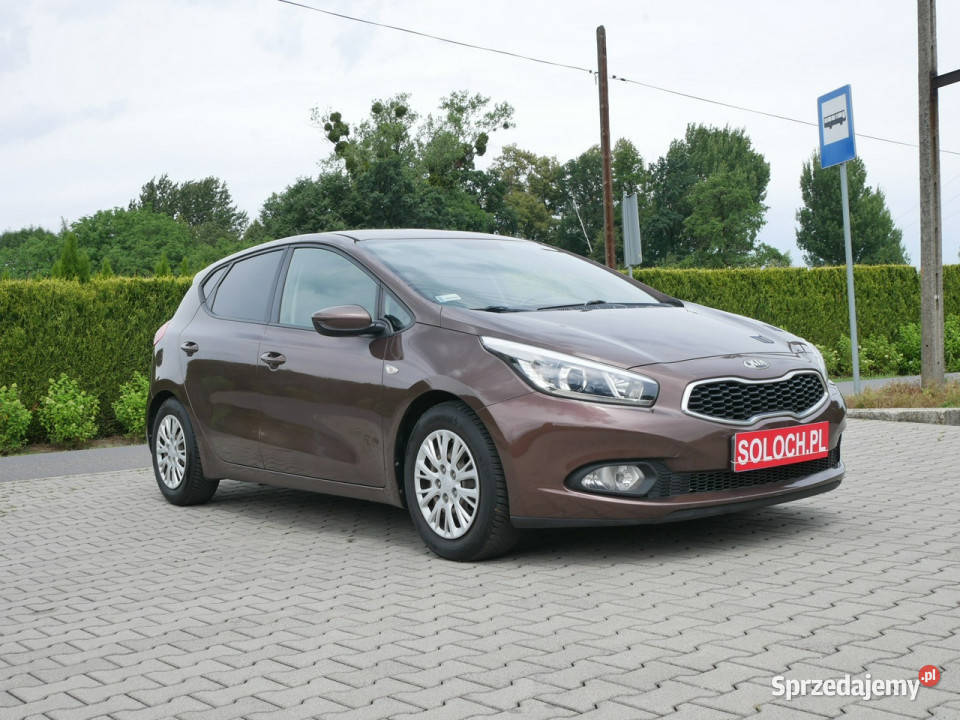 Kia Ceed 14 DOHC 100 Eu5 1 Właściciel 9 lat Kia Goczałkowice-Zdrój