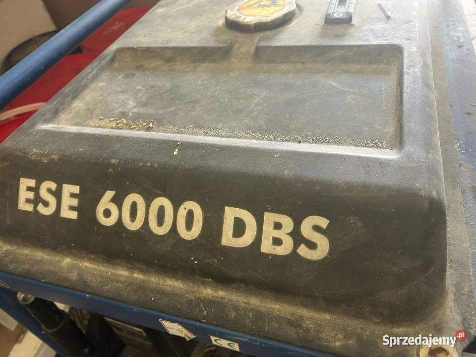 Agregat ENDRESS ESE 6000 DBS Radzyń Podlaski