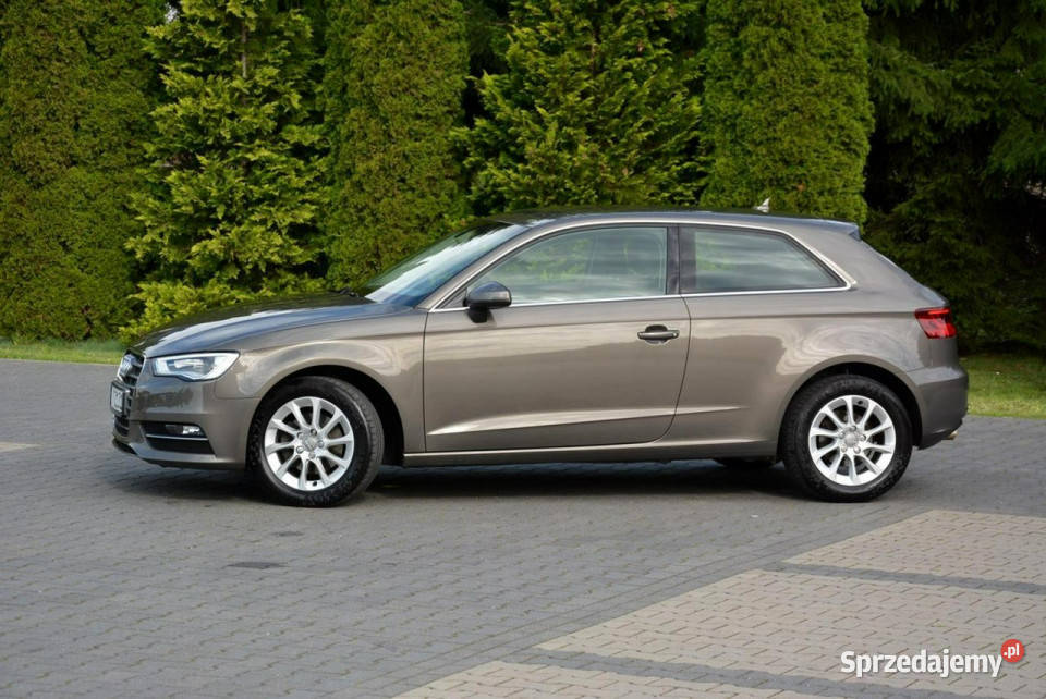 Audi A3 16TDI105 bixenon Ledy Navi Parktronic tempomat Ostrów Mazowiecka