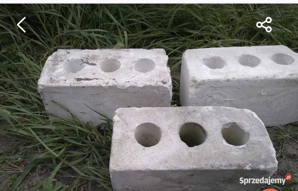 Cegła biała Pozostałe kujawsko-pomorskie Izbica Kujawska